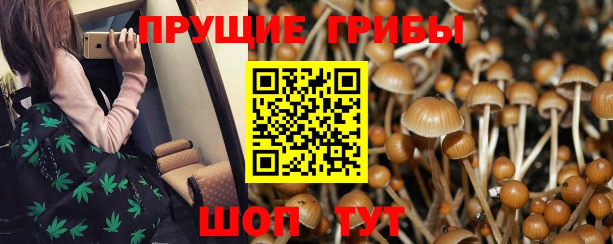 Псилоцибиновые грибы прущие грибы  Псилоцибиновые грибы мухоморы  Вход с VPN  Удомля 